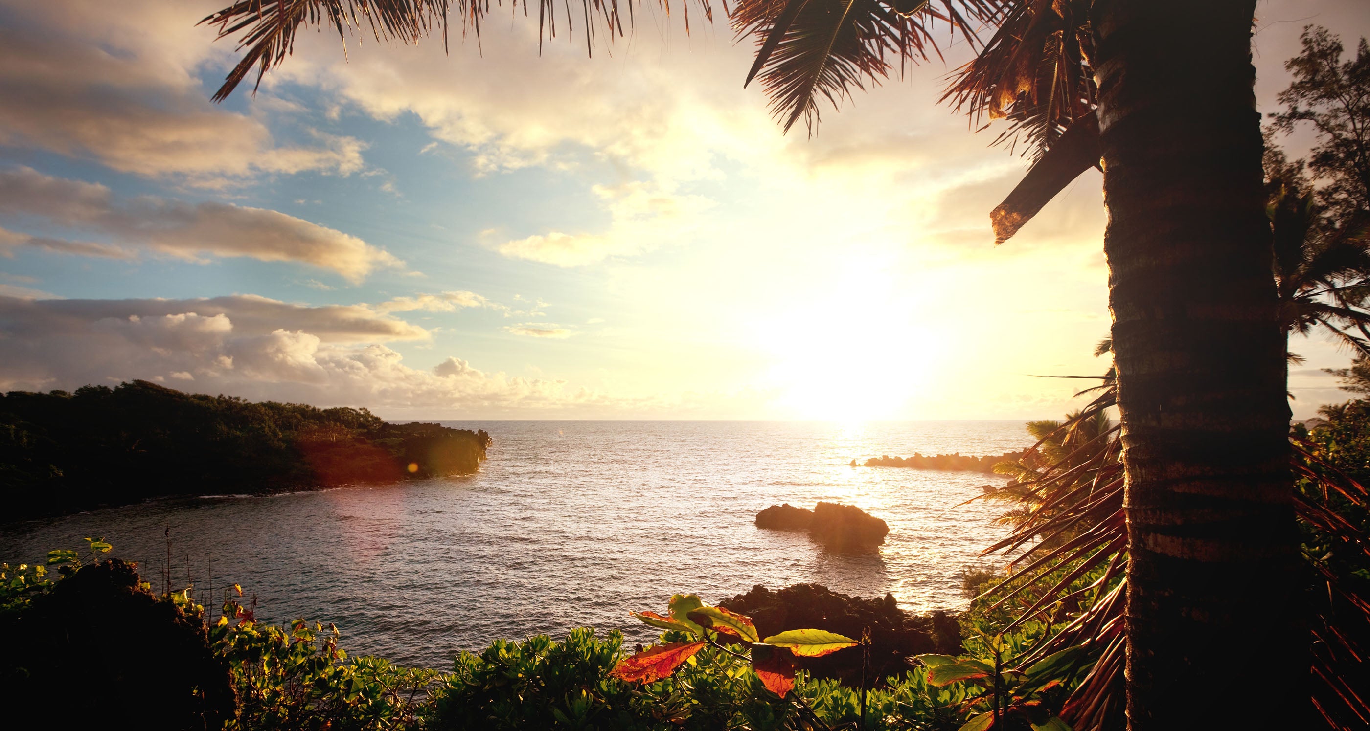 Sunset over the ocean with palm trees and lush greenery